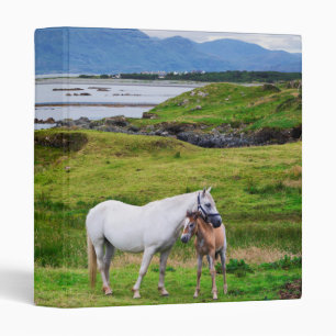 Classeur Les chevaux de Connemara Galway, Irlande