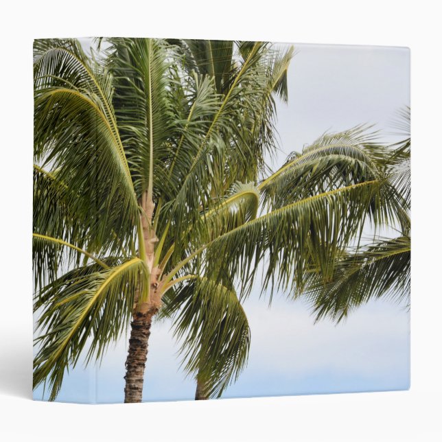 Classeur Les palmiers de Kauai (Devant/Côté)