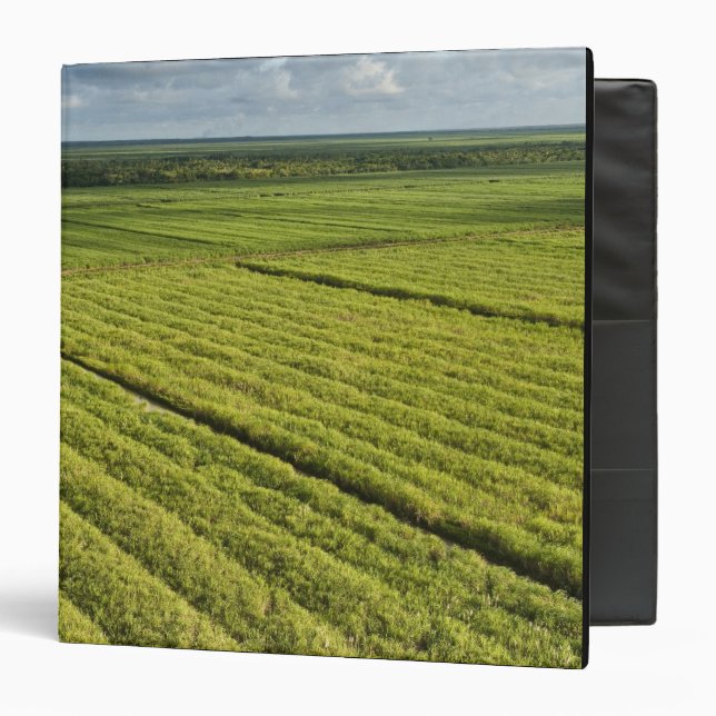 Classeur Les plantations de canne à sucre, Guyana (Devant/Intérieur)