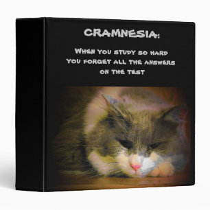 Classeur L'Essai Peut Vous Donner Cramnésie