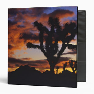 Classeur Lever de soleil spectaculaire à Joshua Tree Nation
