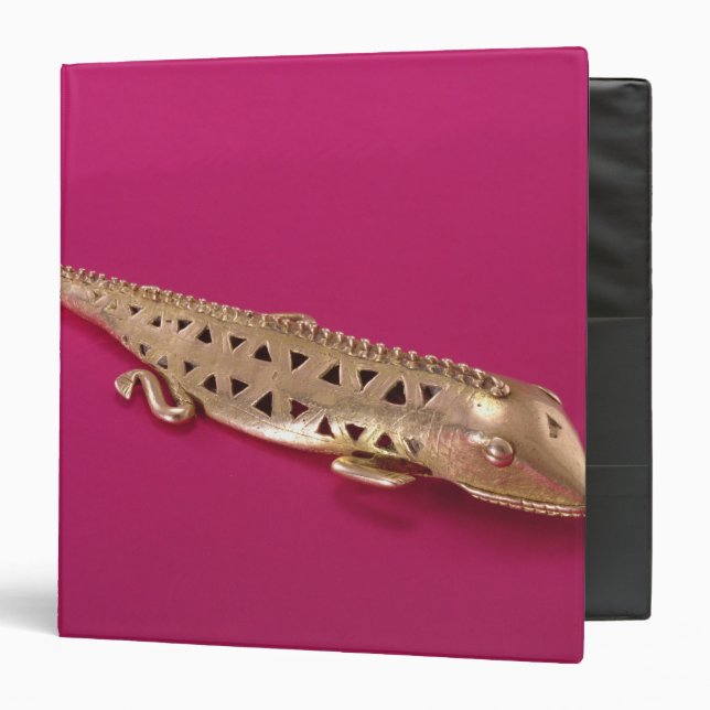 Classeur Lézard, de Colombie (Devant/Intérieur)