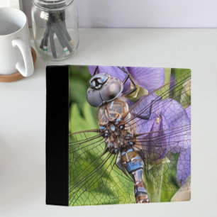 Classeur Libellule Darner aux Yeux Bleus sur Fleur