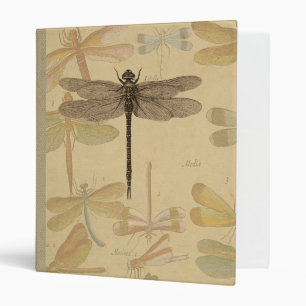 Classeur Libellule Vintage Antique Classique Nature
