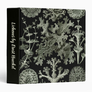 Classeur Lichen par Ernst Haeckel, Plantes Vintages de la n