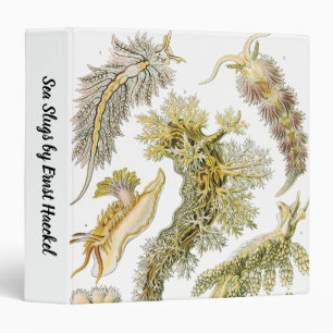 Classeur Limaces de mer par Ernst Haeckel, Nudibranchia vin