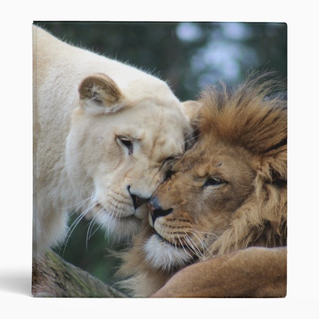 Classeur Lion et lionne (Devant)