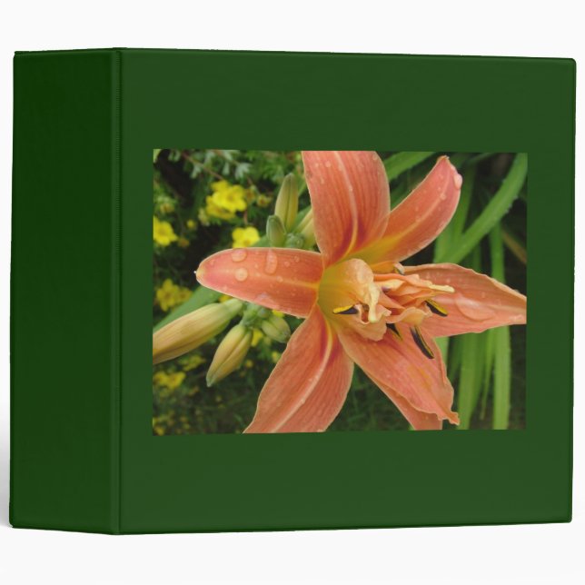 Classeur lis orange, vert (Devant/Côté)