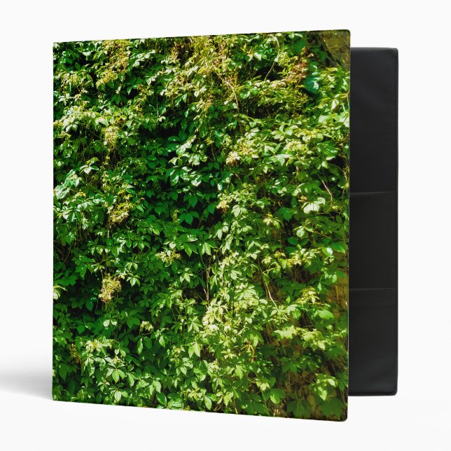 Classeur Living Wall par Avon Noir 2023 (Devant/intérieur)