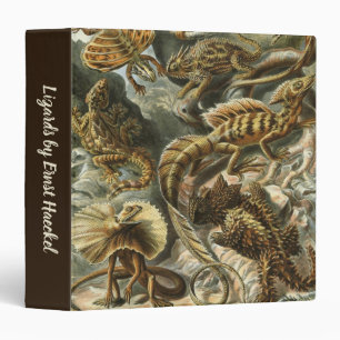Classeur Lizards par Ernst Haeckel Vintage Lacertilia Anima