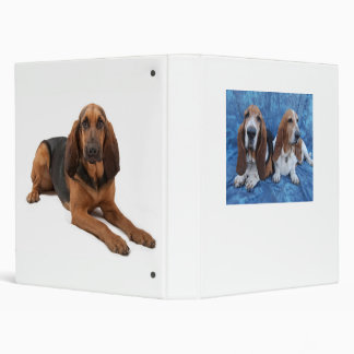 Classeur Lizzy Darcy