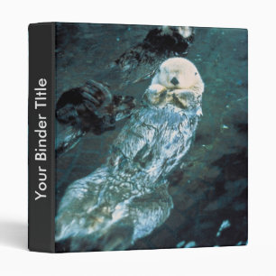 Classeur Loutres de mer du sud