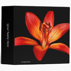 Classeur Lys Asiatiques Orange Rouge Gran Paradiso