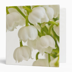 Classeur Lys blancs