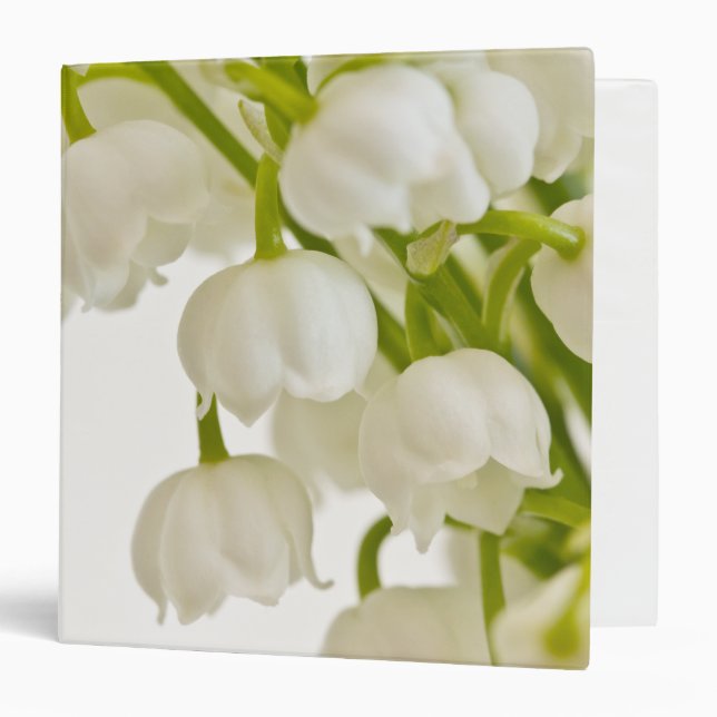 Classeur Lys blancs (Devant/Intérieur)