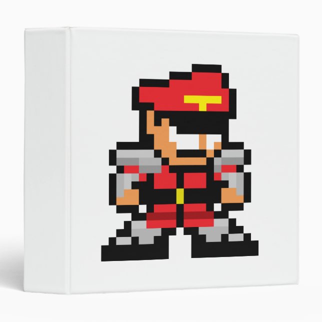 Classeur m. Bison à 8 bits (Devant/Côté)