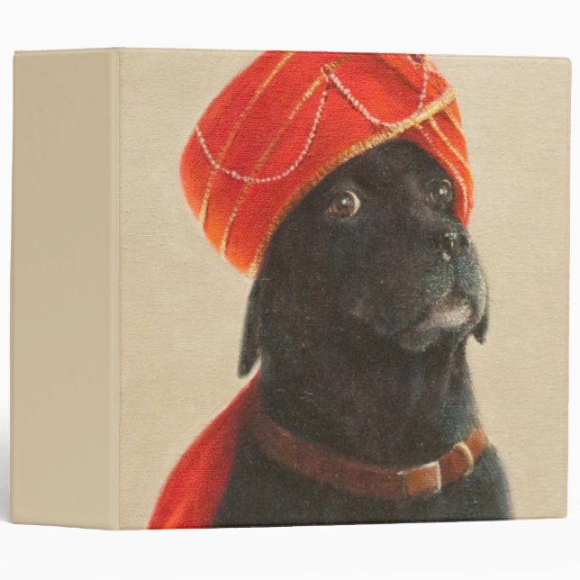 Classeur Maharaja réticent 2010 (Devant/Côté)