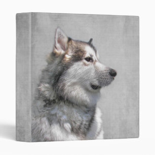 Classeur Majestic Malamute