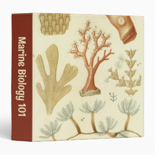 Classeur Manuel de sciences Biologie, Animaux de corail vin