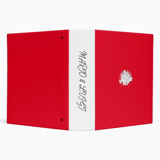 Classeur Mario & Luigi (Arrière-plan)