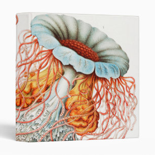 Classeur Méduse, Discomedusae par Ernst Haeckel