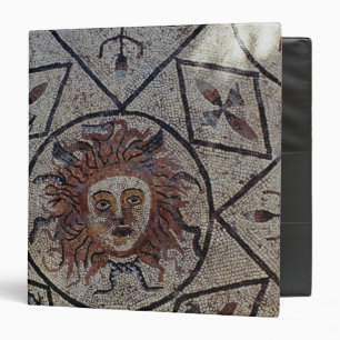 Classeur Méduse, mosaïque romaine de la Chambre d'Orphée