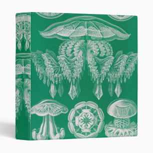 Classeur Méduses, Discomedusae par Ernst Haeckel