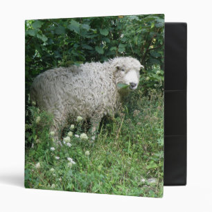 Classeur Mélange Blanc Fluffy Sheep Manger Album photo