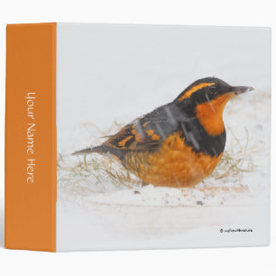 Classeur Merveilleux oiseau-chanteur à grive variée le jour