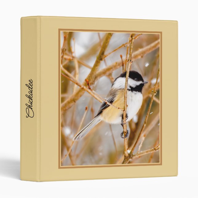 Classeur Mésange à tête noire - Photographie originale (Devant/Côté)
