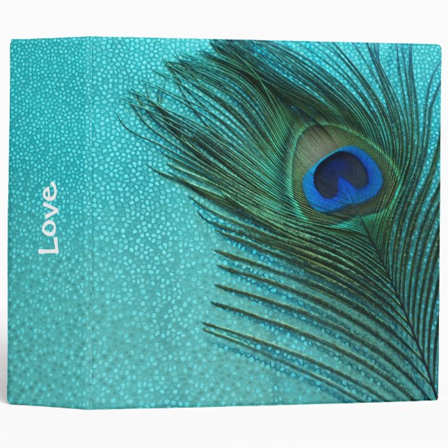 Classeur Métallurgie Aqua Blue Peacock Feather (Devant/Côté)