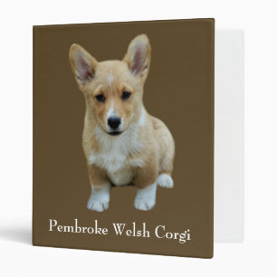 Classeur mignon de corgi de Gallois de Pembroke