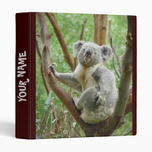 Classeur mignon de koala
