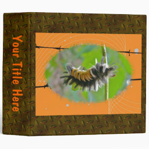 Classeur Milkweed Tussock Moth Caterpillar