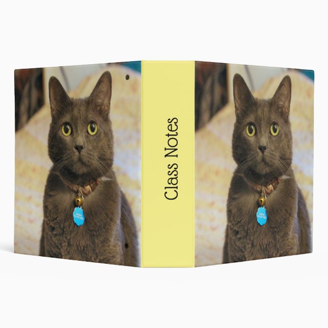 Classeur Mims (Arrière-plan)