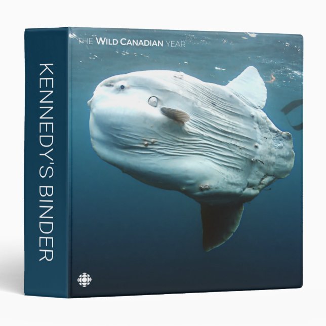 Classeur Mola Mola (Devant/Côté)