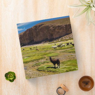 Classeur Montagnes Andes boliviennes