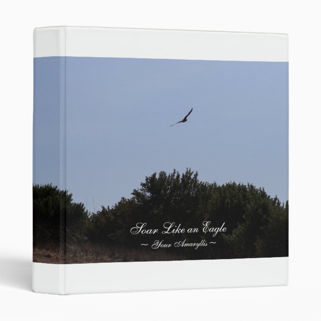 Classeur Montez comme Eagle (Devant/Côté)