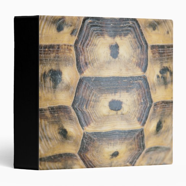 Classeur Motif Tortoise Shell (Devant/Côté)