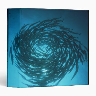 Classeur Natation de barracuda de Blackfin en cercles