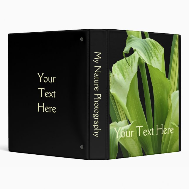 classeur naturel (Arrière-plan)