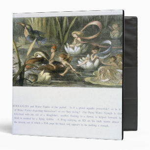 Classeur Nénuphars et fées de l'eau, illustration de