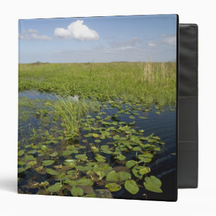 Classeur Nénuphars et sawgrass dans les Everglades de Flori