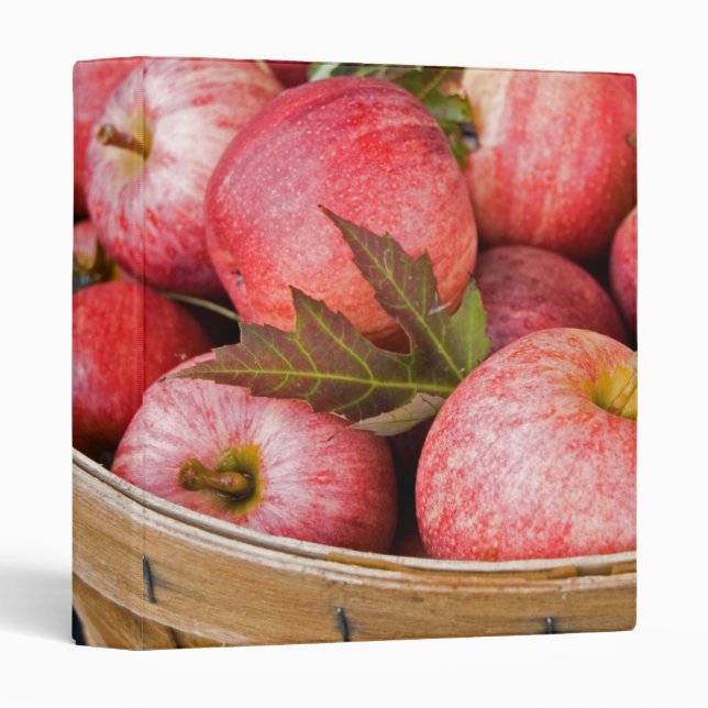 Classeur Nourriture d'automne (Devant/Côté)