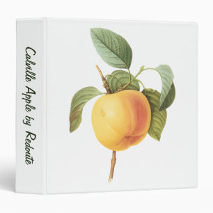 Classeur Nourriture de fruits anciens, pomme Calville par R