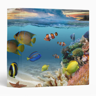 Classeur Océan Corail Reef Poisson tropical