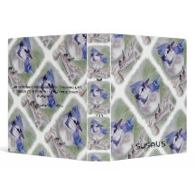 OISEAU BLEU DE PARADIS