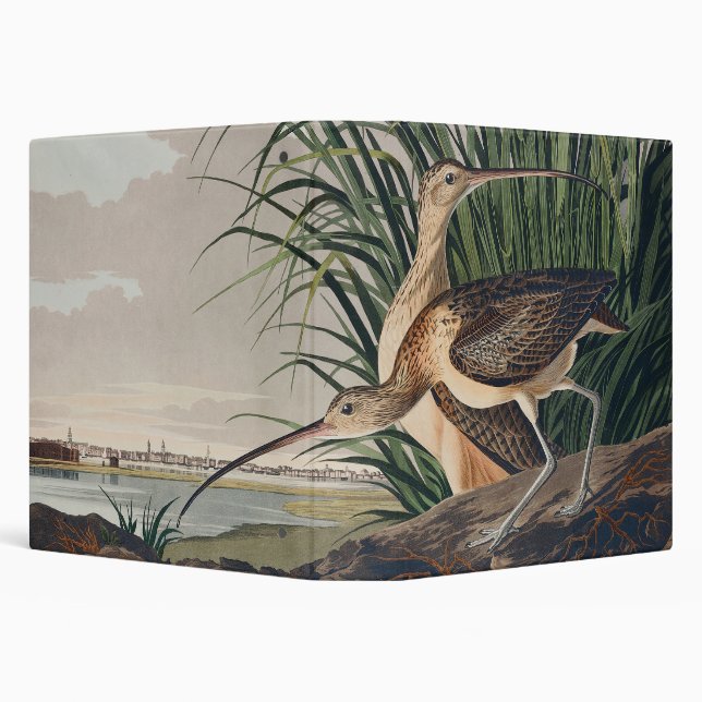 Classeur Oiseau de Courlis à long bec Audubon (Arrière-plan)