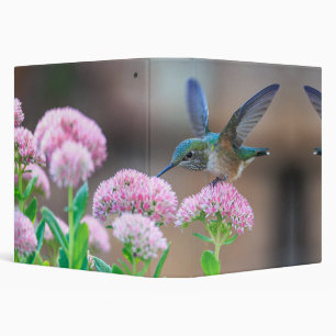 Classeur oiseau vert