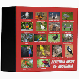 Classeur Oiseaux d'Australie